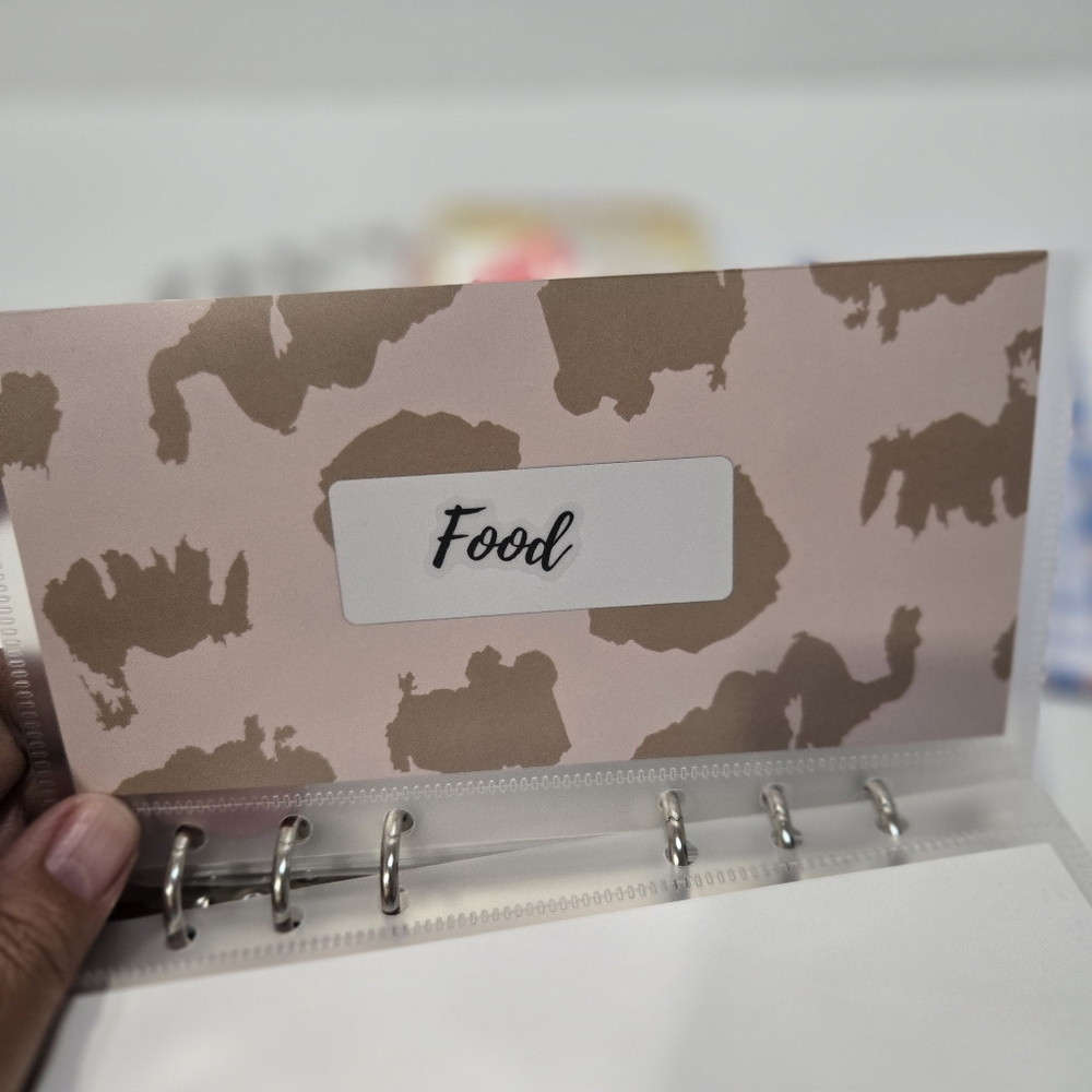 Daily Budget Planner, Savings Envelope Money Organizer, Budget Sheets, Stickers - Picture 10 of 16